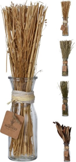 Urocza trawa w szklanym wazonie styl boho, 32 cm