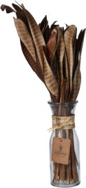 Urocza trawa w szklanym wazonie styl boho, 32 cm