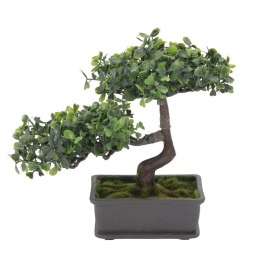 Roślina bonsai - naturalny wygląd, bez konieczności pielęgnacji
