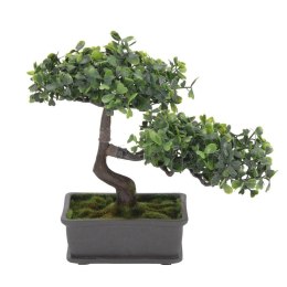 Roślina bonsai - naturalny wygląd, bez konieczności pielęgnacji