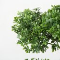 Bonsai zielone drzewko w doniczce, 33 cm