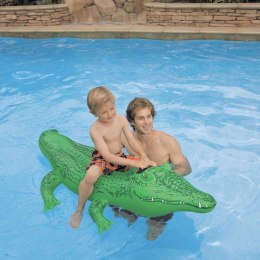 Krokodyl Pływający dla Dzieci