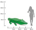 Krokodyl Pływający dla Dzieci
